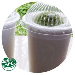 InShot_20250521_124253842