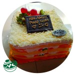 InShot_20250529_193618205