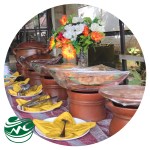 InShot_20250524_162029161